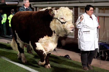 2016-05-16T130648Z_1_LYNXNPEC4F0OR_RTROPTP_2_SOCCER-ENGLAND-HEREFORD-BULL.jpeg