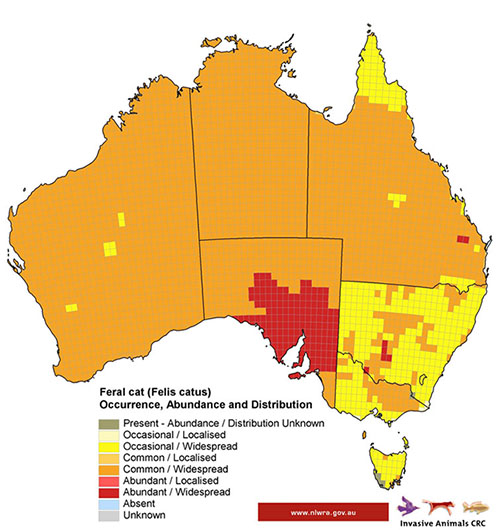 feral-cat-map.jpg