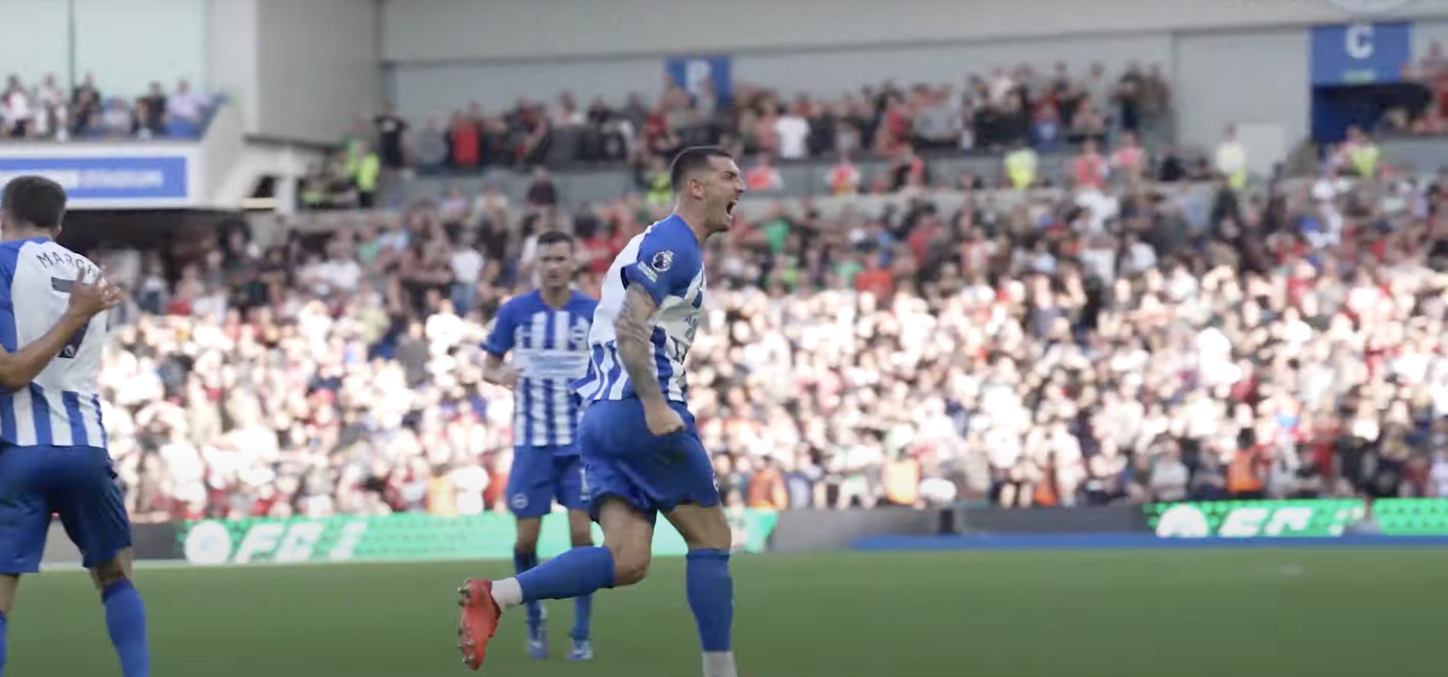 Lewis Dunk celebrates.jpg