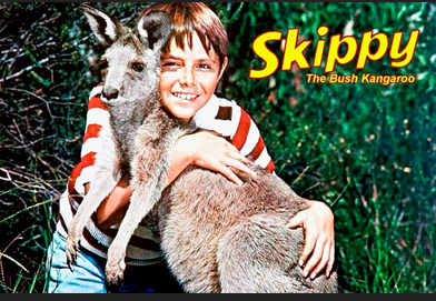 skippy.PNG