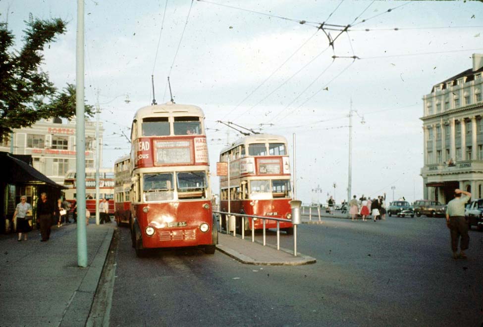 Trolley buses.jpg