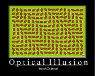 OpticalIllusion 1.jpg