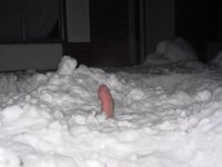 penis%20snow.jpg