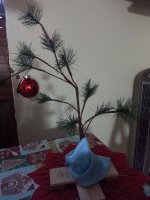 Worlds-Weirdest-and-Worst-Xmas-Trees-Gallery.jpg