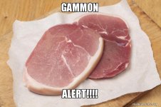 gammon-alert.jpg