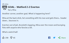 Screenshot_2020-02-01 Watford v Everton.png