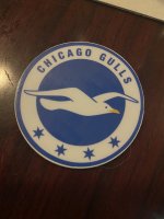 chicago gulls.jpg