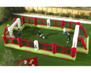 subbuteo-inflatable-football-pitch.jpg