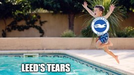 Pool of Leeds tears.jpg