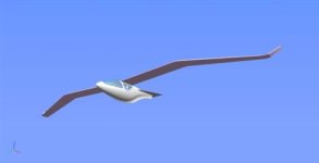 101122-seagull-plane-hmed-214p.grid-6x2.jpg