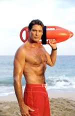 the hoff.jpg