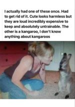 kanga.jpg