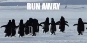 run-away.gif