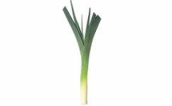 Leek.jpg