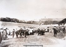 Site of Withdean Stadium.jpg