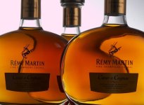 Remy Martin.jpg