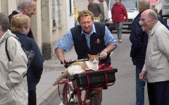 460-postman-cat_979015c.jpg