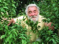 David-Bellamy.jpg