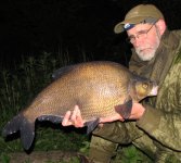 bream-779017.jpg