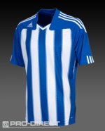 brighton kit.jpg