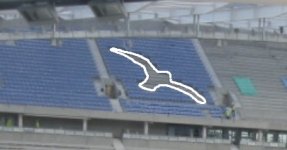 seagull seats.jpg