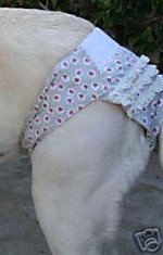 doggy wear.jpg