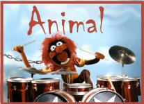 animalwithdrumkit.jpg