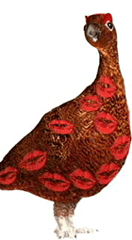 famous_grouse2.gif