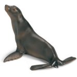 sea-lion-14365-6724.jpg