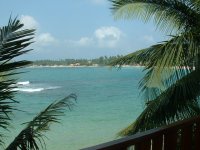 View from Banana Garden hotel room - Unawatuna.JPG