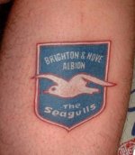 Seagull tattoo.jpg