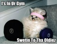 is-in-ur-gym-swetin-to-tha-oldiez.jpg