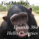 FM384-Hello-Chimpies.jpg