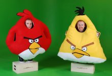 Angry+Birds+Costume+4.jpg