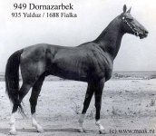 949dornazarbek.JPG