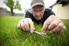 cutting-grass-with-scissors-2.jpg