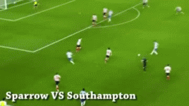 Sparrow vs Southampton.gif