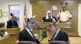 kangaroo-court.jpg