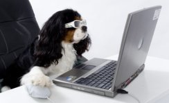 computer-dogs-life-2001.jpg