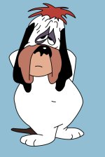 droopy.jpg