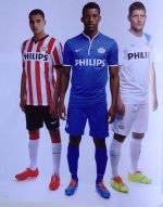 PSV14-1.jpg