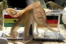 hineytheoctopus.jpg