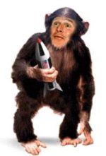 rocket-monkey.jpg