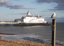 24th December 2014 - Winter sunshine at Eastbourne  straightened(25a).jpg