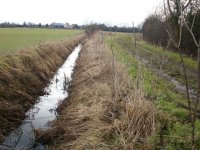 Water-filled_ditch_alongside_Gun's_Lane_-_geograph.org.uk_-_1727428.jpg