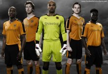 wolverhampton-wanderers-2015-2016-puma-home-football-shirt.jpg