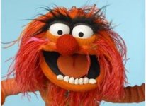 animal-muppet-e1312076844754.jpg