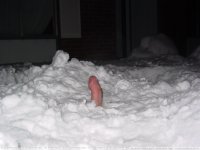 penis%20snow.jpg