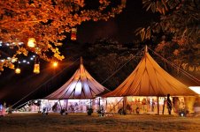 Wedding-Marquee.jpg