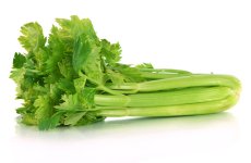 celery.jpg